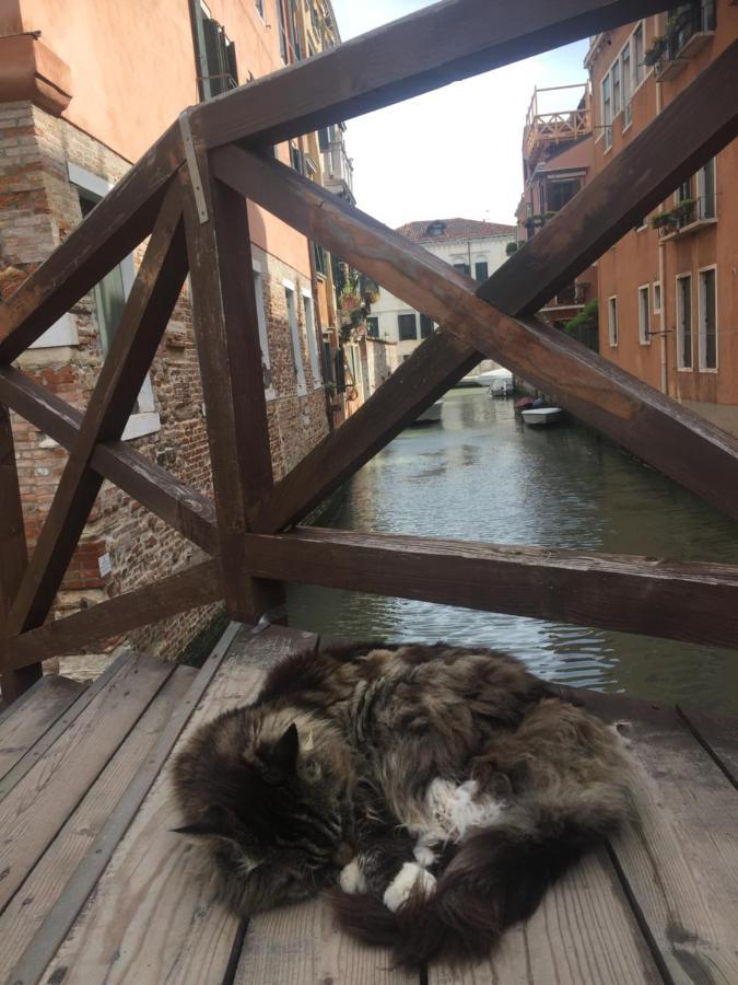 Mori 3, In Centro Storico Di Venezia Apartment Екстериор снимка